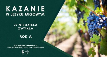 O dzierżawcach winnicy czyli o mnie i o Tobie